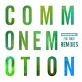 Rudimental (feat MNEK)  - Common Emotion (The Golden Pony Remix).mp3